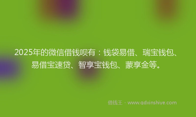 2025年的微信借钱呗有：钱袋易借、瑞宝钱包、易借宝速贷、智享宝钱包、蒙享金等。