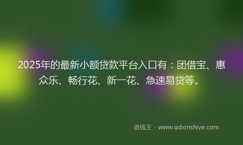 2025年的最新小额贷款平台入口有：团借宝、惠众乐、畅行花、新一花、急速易贷等。