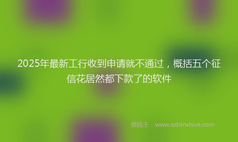 2025年最新工行收到申请就不通过，概括五个征信花居然都下款了的软件