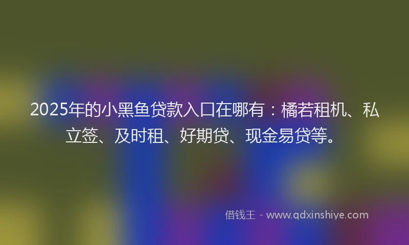 2025年的小黑鱼贷款入口在哪有：橘若租机、私立签、及时租、好期贷、现金易贷等。