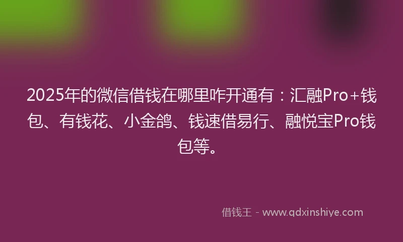 2025年的微信借钱在哪里咋开通有：汇融Pro+钱包、有钱花、小金鸽、钱速借易行、融悦宝Pro钱包等。