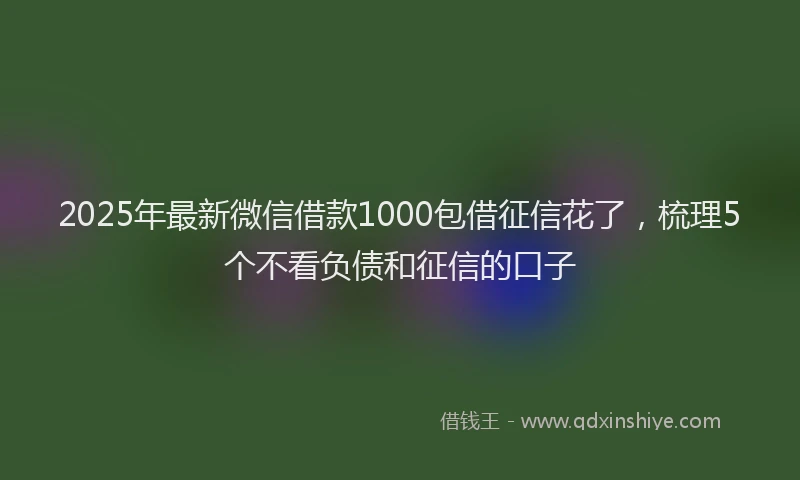 2025年最新微信借款1000包借征信花了，梳理5个不看负债和征信的口子