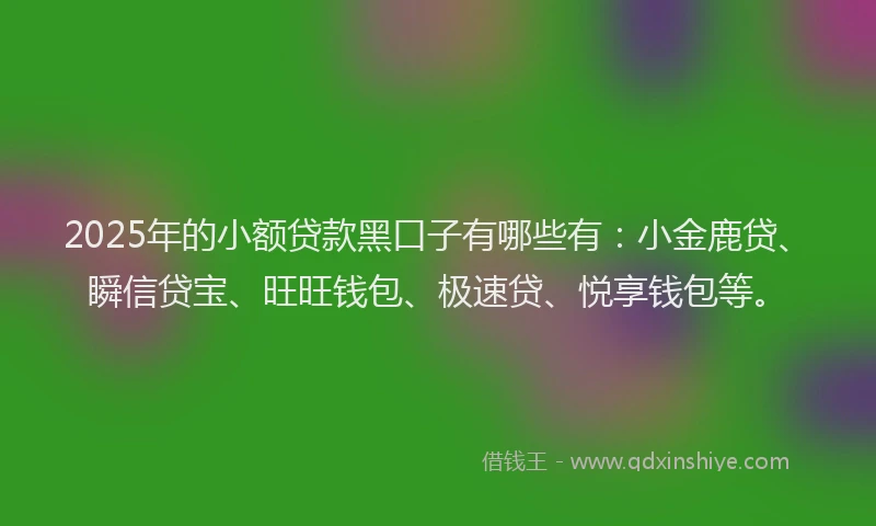 2025年的小额贷款黑口子有哪些有：小金鹿贷、瞬信贷宝、旺旺钱包、极速贷、悦享钱包等。