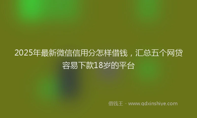 2025年最新微信信用分怎样借钱，汇总五个网贷容易下款18岁的平台