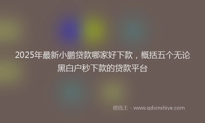 2025年最新小鹏贷款哪家好下款，概括五个无论黑白户秒下款的贷款平台