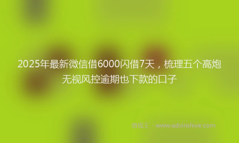 2025年最新微信借6000闪借7天，梳理五个高炮无视风控逾期也下款的口子