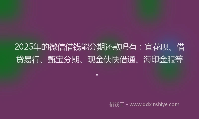 2025年的微信借钱能分期还款吗有：宜花呗、借贷易行、甄宝分期、现金侠快借通、海印金服等。