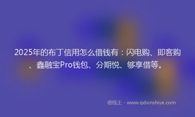 2025年的布丁信用怎么借钱有：闪电购、即客购、鑫融宝Pro钱包、分期悦、够享借等。