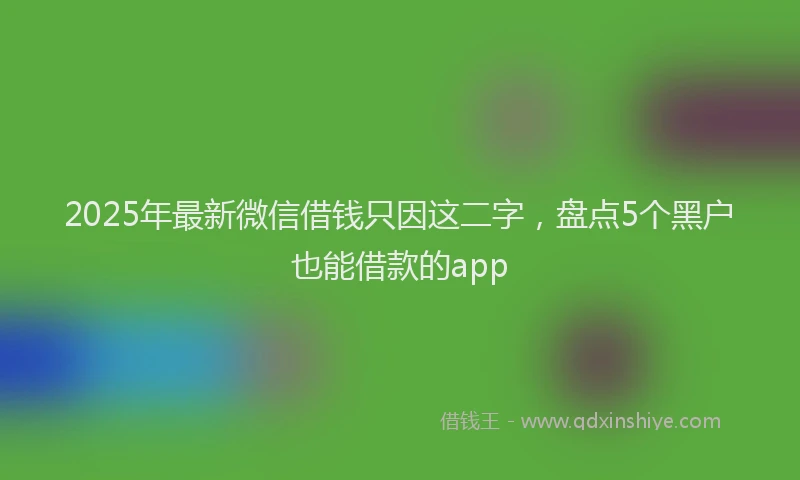 2025年最新微信借钱只因这二字，盘点5个黑户也能借款的app