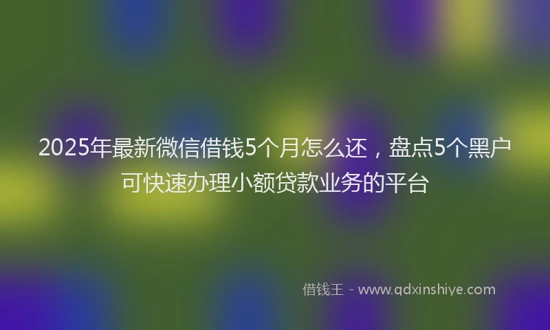 2025年最新微信借钱5个月怎么还，盘点5个黑户可快速办理小额贷款业务的平台