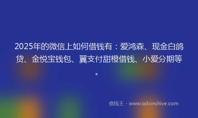 2025年的微信上如何借钱有：爱鸿森、现金白鸽贷、金悦宝钱包、翼支付甜橙借钱、小爱分期等。