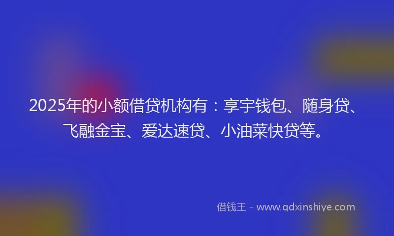 2025年的小额借贷机构有：享宇钱包、随身贷、飞融金宝、爱达速贷、小油菜快贷等。