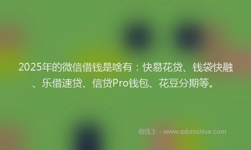 2025年的微信借钱是啥有：快易花贷、钱袋快融、乐借速贷、信贷Pro钱包、花豆分期等。