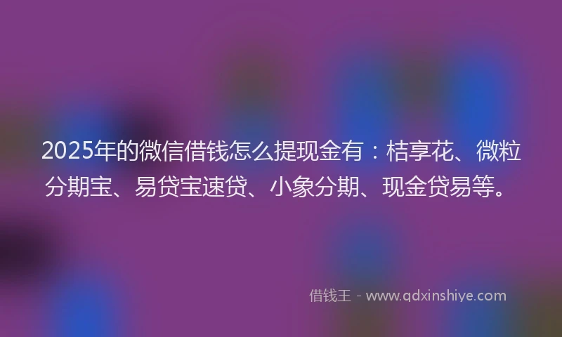2025年的微信借钱怎么提现金有：桔享花、微粒分期宝、易贷宝速贷、小象分期、现金贷易等。