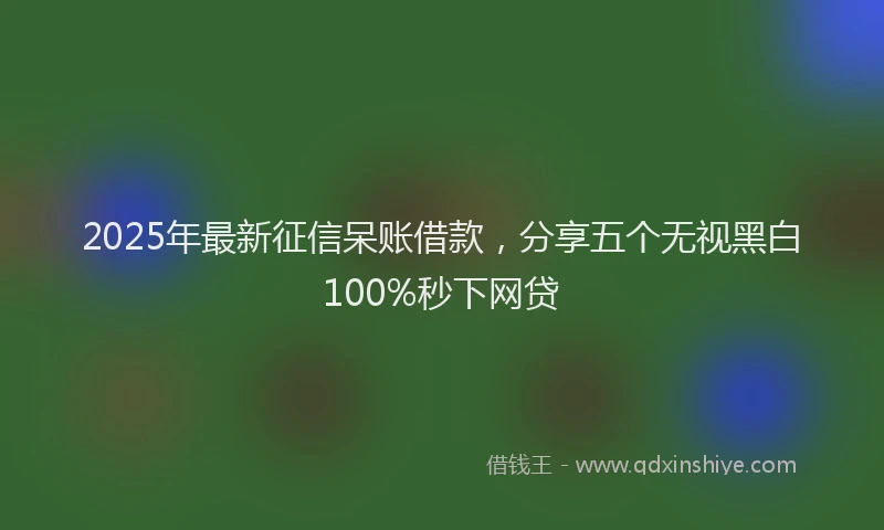 2025年最新征信呆账借款，分享五个无视黑白100%秒下网贷