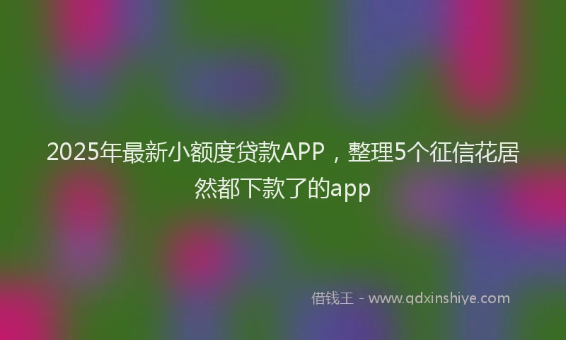 2025年最新小额度贷款APP，整理5个征信花居然都下款了的app