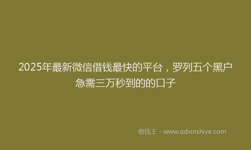 2025年最新微信借钱最快的平台，罗列五个黑户急需三万秒到的的口子