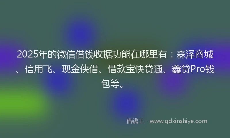 2025年的微信借钱收据功能在哪里有：森泽商城、信用飞、现金侠借、借款宝快贷通、鑫贷Pro钱包等。
