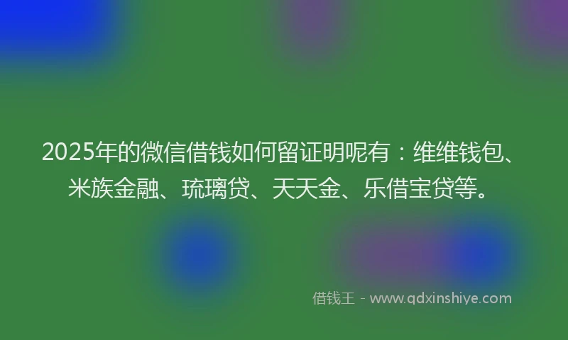 2025年的微信借钱如何留证明呢有：维维钱包、米族金融、琉璃贷、天天金、乐借宝贷等。