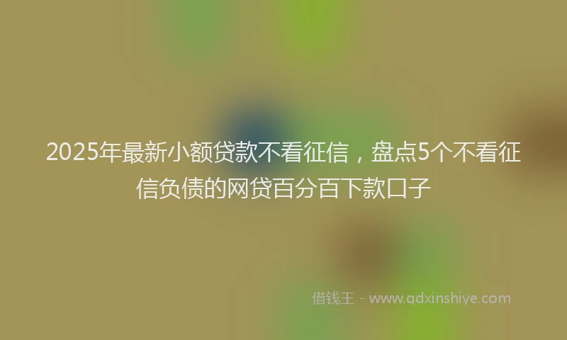 2025年最新小额贷款不看征信，盘点5个不看征信负债的网贷百分百下款口子