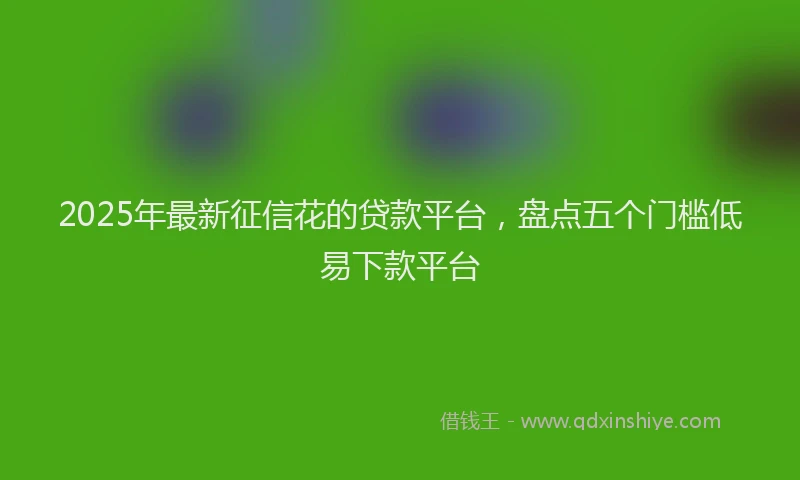 2025年最新征信花的贷款平台，盘点五个门槛低易下款平台