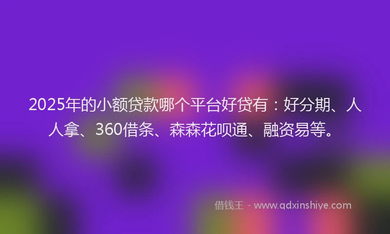 2025年的小额贷款哪个平台好贷有：好分期、人人拿、360借条、森森花呗通、融资易等。