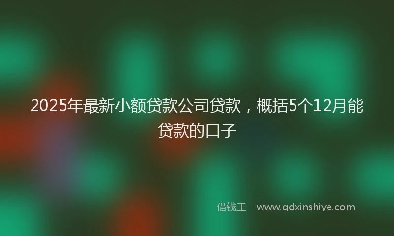 2025年最新小额贷款公司贷款，概括5个12月能贷款的口子