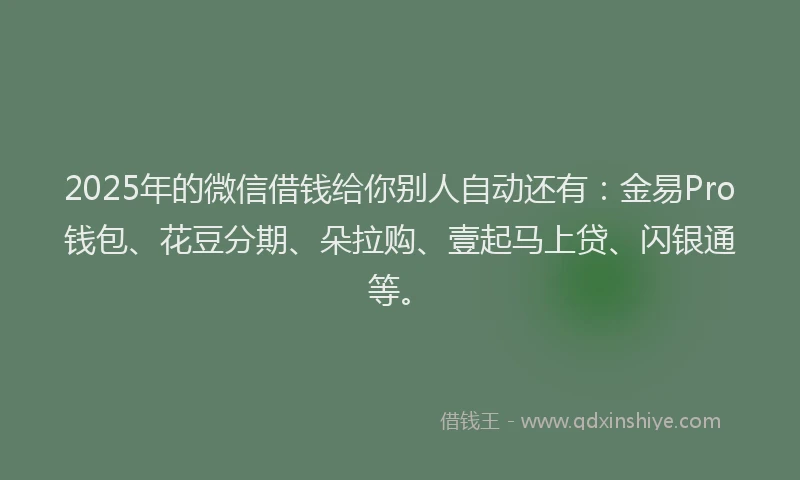 2025年的微信借钱给你别人自动还有：金易Pro钱包、花豆分期、朵拉购、壹起马上贷、闪银通等。