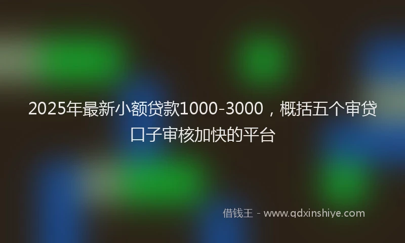 2025年最新小额贷款1000-3000，概括五个审贷口子审核加快的平台