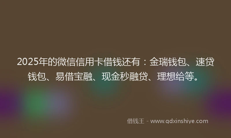 2025年的微信信用卡借钱还有：金瑞钱包、速贷钱包、易借宝融、现金秒融贷、理想给等。
