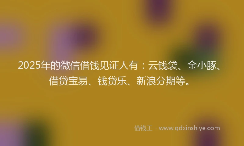 2025年的微信借钱见证人有：云钱袋、金小豚、借贷宝易、钱贷乐、新浪分期等。