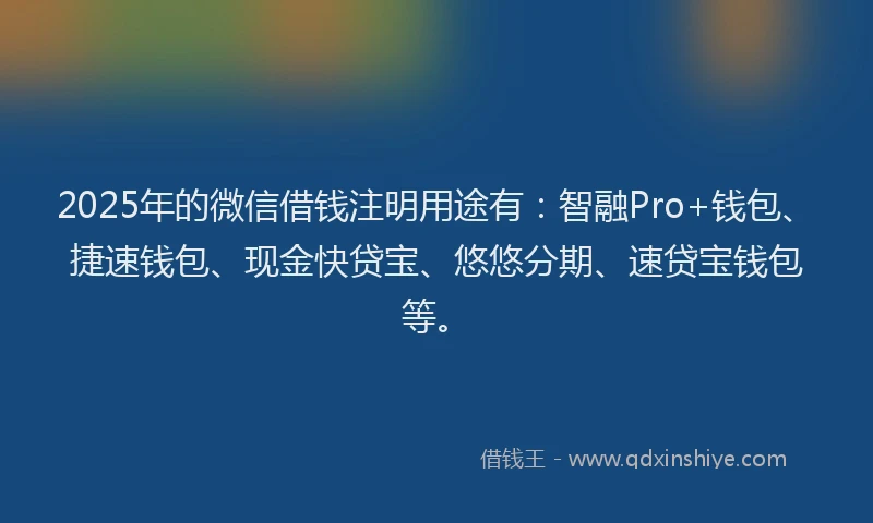 2025年的微信借钱注明用途有：智融Pro+钱包、捷速钱包、现金快贷宝、悠悠分期、速贷宝钱包等。