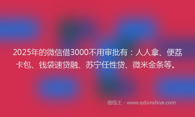 2025年的微信借3000不用审批有：人人拿、便荔卡包、钱袋速贷融、苏宁任性贷、微米金条等。