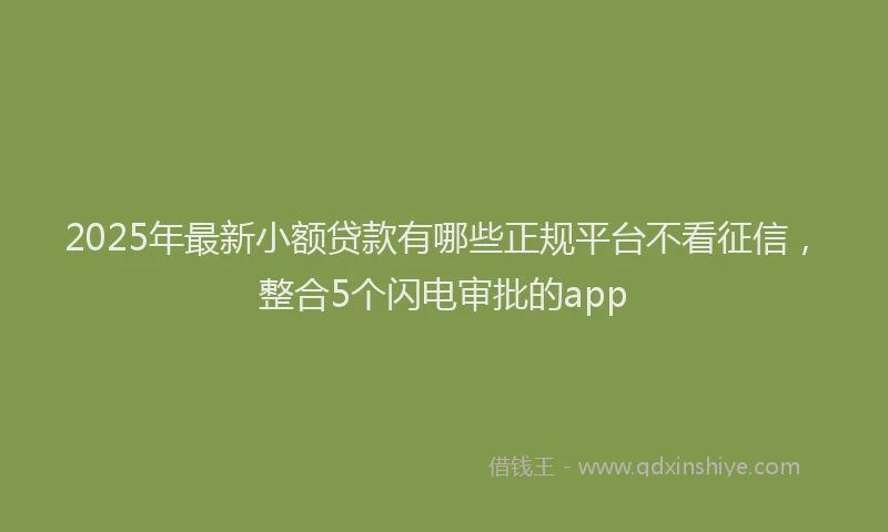 2025年最新小额贷款有哪些正规平台不看征信，整合5个闪电审批的app