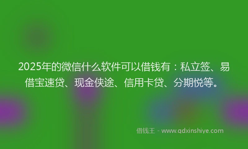 2025年的微信什么软件可以借钱有：私立签、易借宝速贷、现金侠途、信用卡贷、分期悦等。