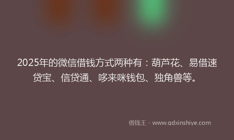 2025年的微信借钱方式两种有：葫芦花、易借速贷宝、信贷通、哆来咪钱包、独角兽等。