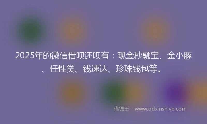 2025年的微信借呗还呗有：现金秒融宝、金小豚、任性贷、钱速达、珍珠钱包等。