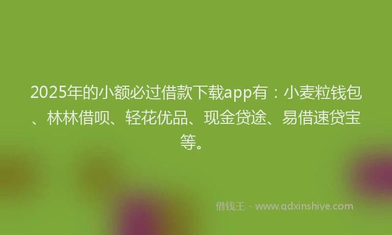2025年的小额必过借款下载app有：小麦粒钱包、林林借呗、轻花优品、现金贷途、易借速贷宝等。