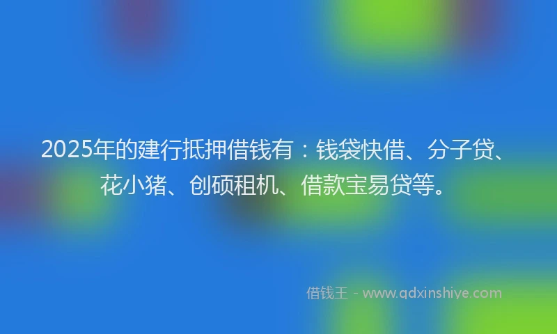 2025年的建行抵押借钱有：钱袋快借、分子贷、花小猪、创硕租机、借款宝易贷等。