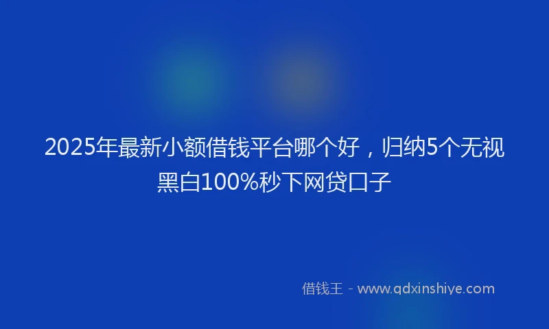 2025年最新小额借钱平台哪个好，归纳5个无视黑白100%秒下网贷口子