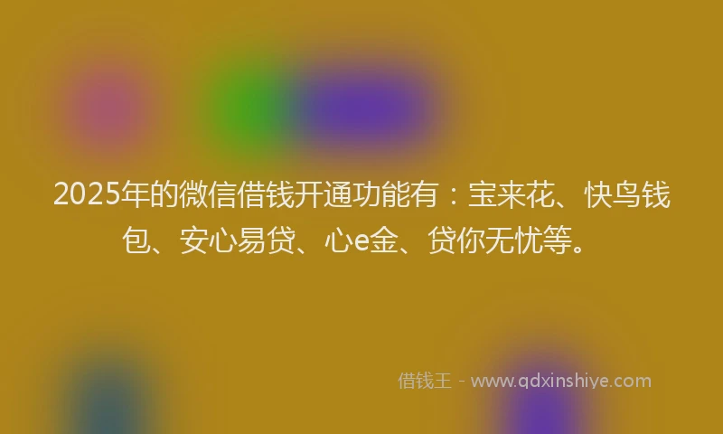 2025年的微信借钱开通功能有：宝来花、快鸟钱包、安心易贷、心e金、贷你无忧等。
