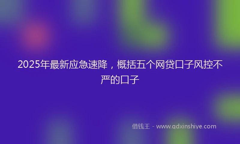 2025年最新应急速降，概括五个网贷口子风控不严的口子