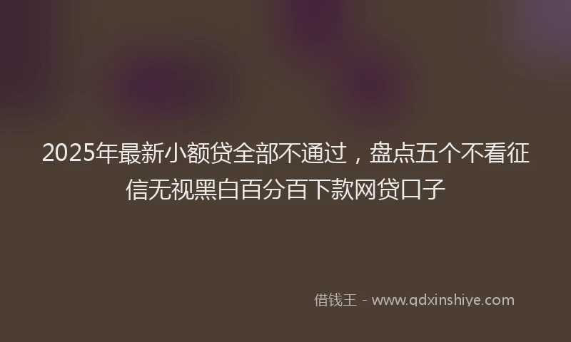 2025年最新小额贷全部不通过，盘点五个不看征信无视黑白百分百下款网贷口子