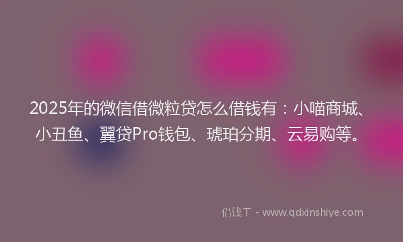 2025年的微信借微粒贷怎么借钱有：小喵商城、小丑鱼、翼贷Pro钱包、琥珀分期、云易购等。