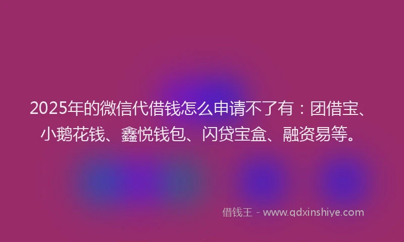 2025年的微信代借钱怎么申请不了有：团借宝、小鹅花钱、鑫悦钱包、闪贷宝盒、融资易等。