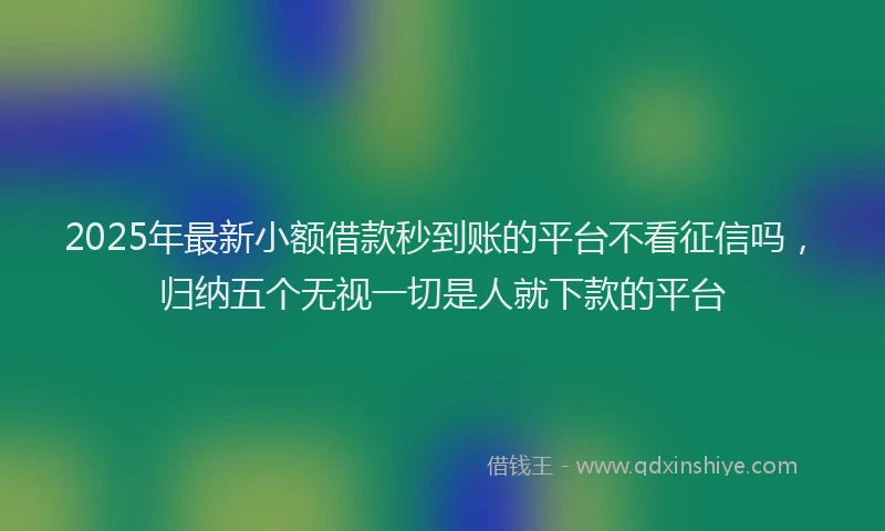 2025年最新小额借款秒到账的平台不看征信吗，归纳五个无视一切是人就下款的平台