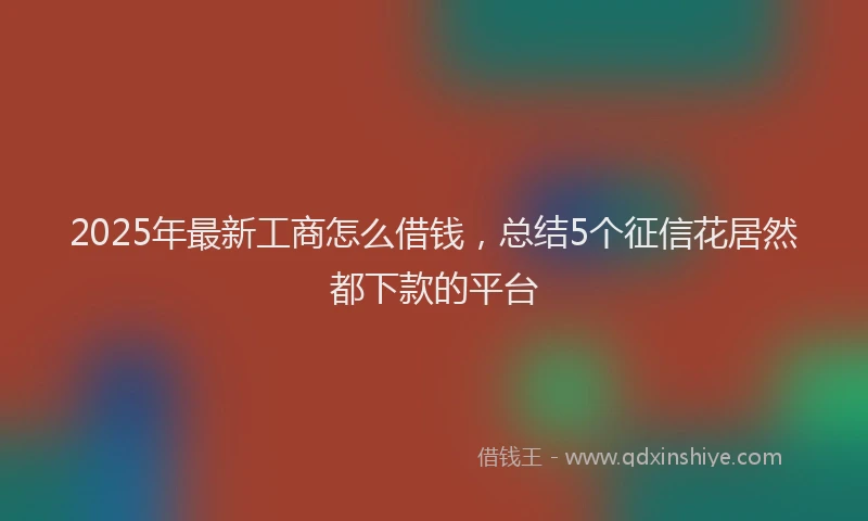 2025年最新工商怎么借钱，总结5个征信花居然都下款的平台