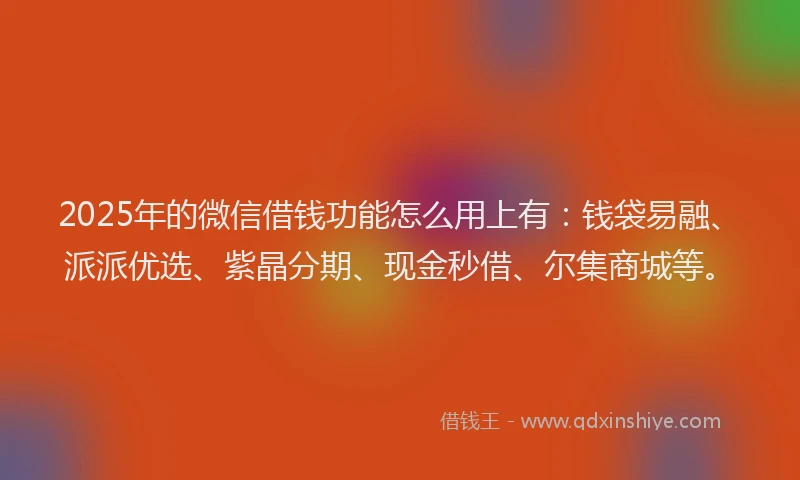 2025年的微信借钱功能怎么用上有：钱袋易融、派派优选、紫晶分期、现金秒借、尔集商城等。