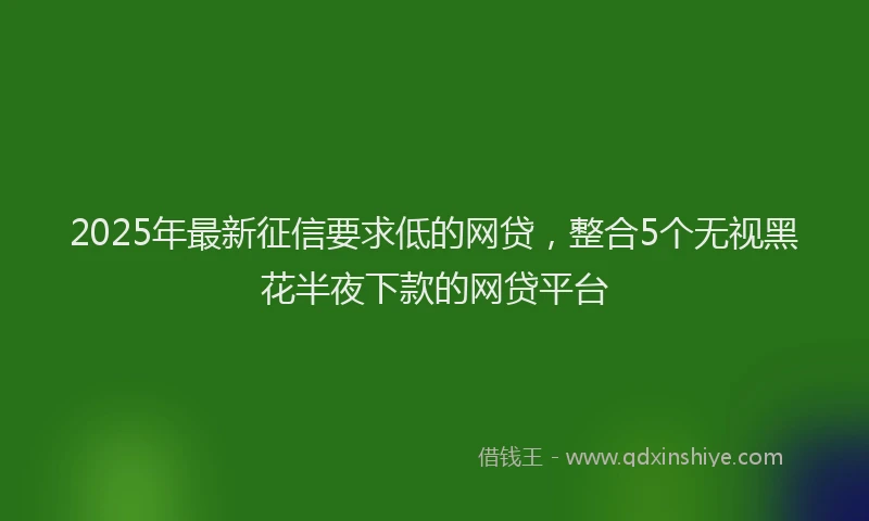 2025年最新征信要求低的网贷，整合5个无视黑花半夜下款的网贷平台