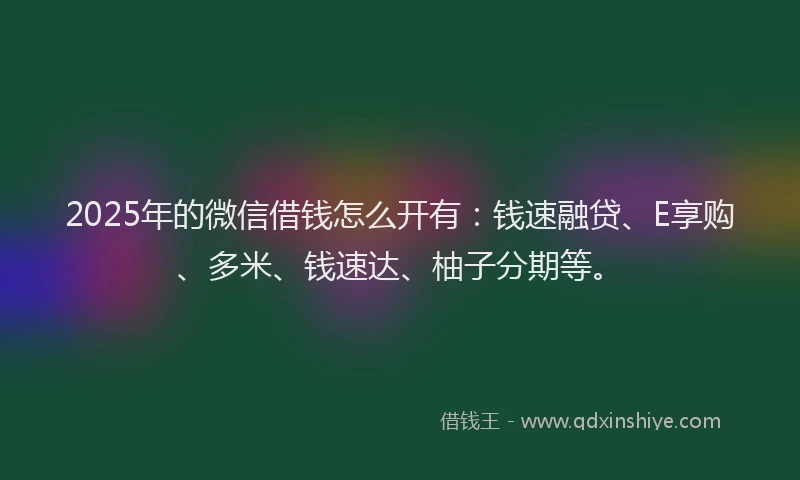 2025年的微信借钱怎么开有：钱速融贷、E享购、多米、钱速达、柚子分期等。